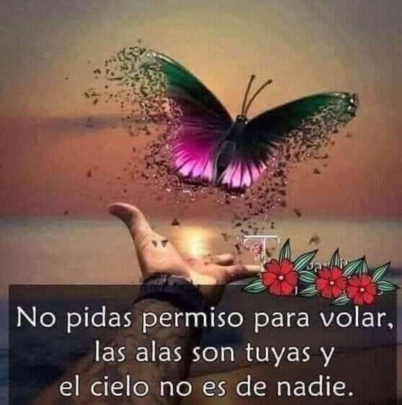 ely_ortiz